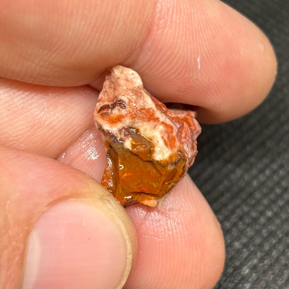 Mexican Fire Wish Bone Opal Specimen With A Fire Red Exterior & Blue Interior - Picture 3 of 13